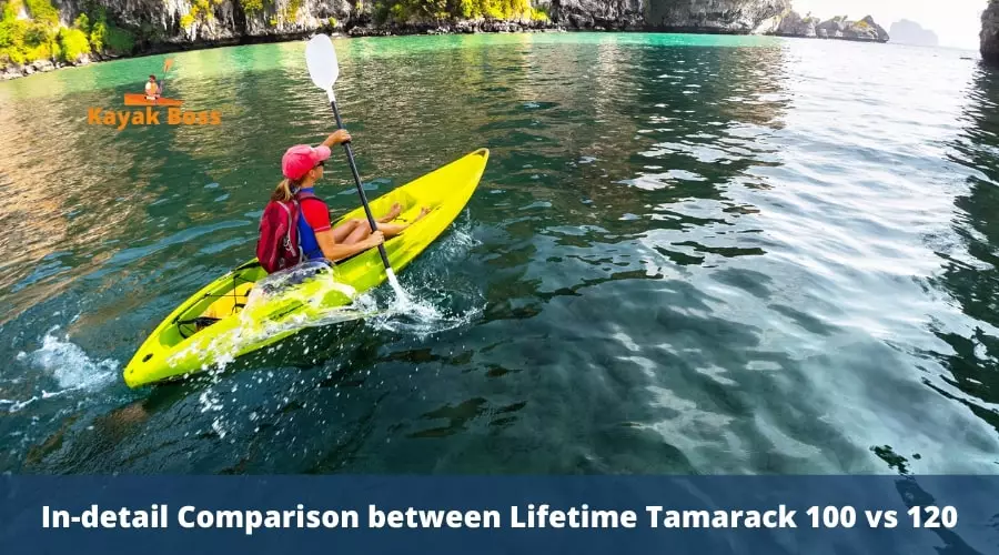 The Comparison Chart Between Lifetime Tamarack 100 and 120 