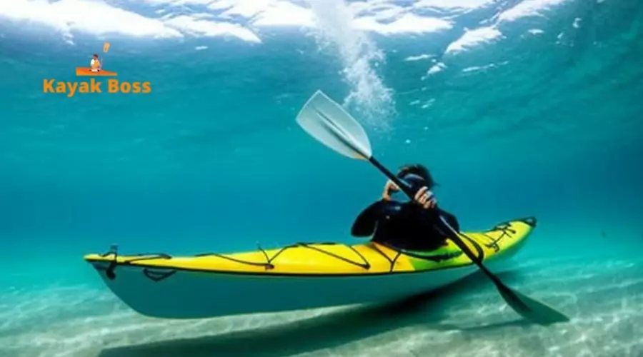 Kayak Attracts Sharks