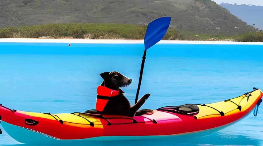 dog friendly inflatable kayak
